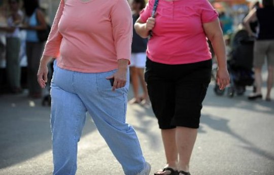 Complexity of Obesity and Holistic Weight Control Complexity of Obesity and Holistic Weight Control